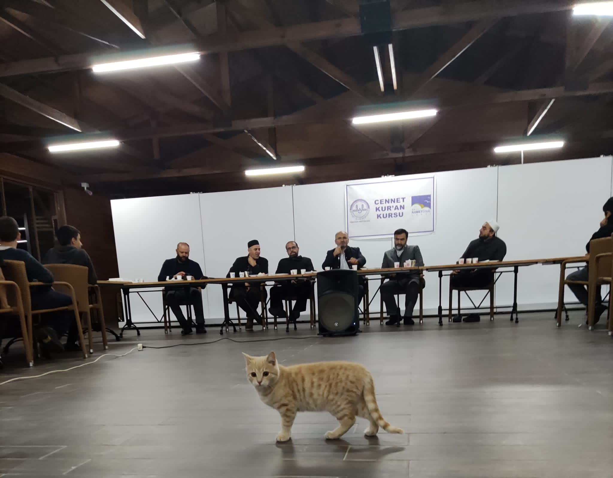 Kurnaköy Kamp 36