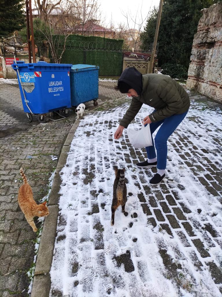 Sokak Hayvanlarına Sahip Çıkalım 6