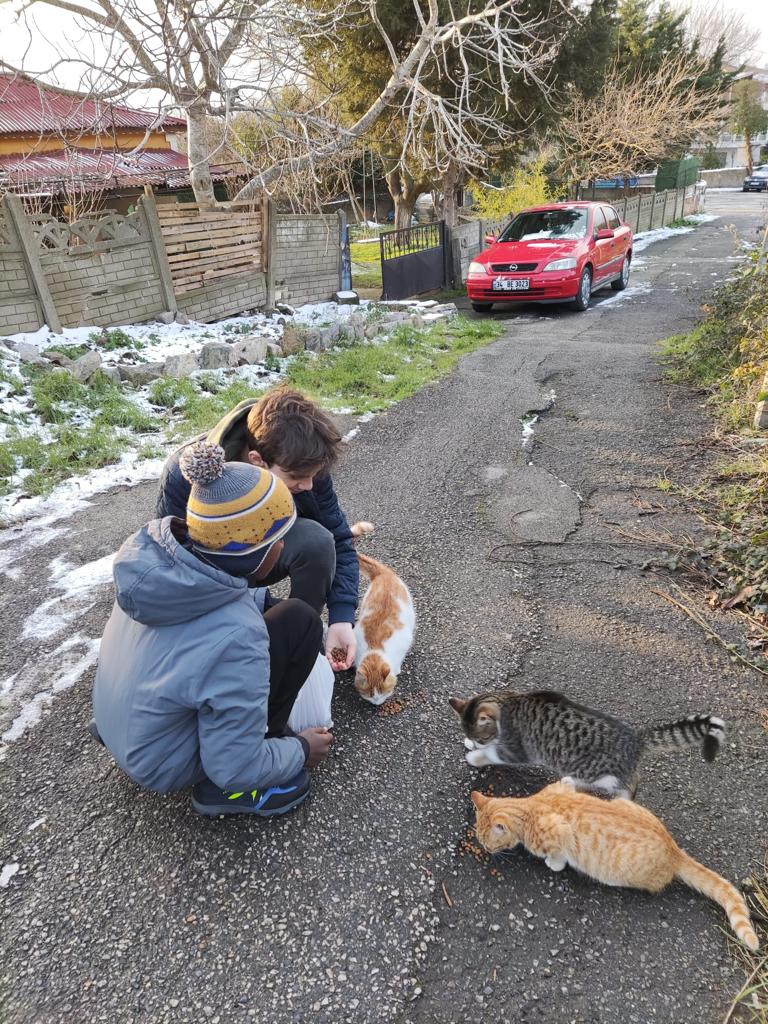 Sokak Hayvanlarına Sahip Çıkalım 2