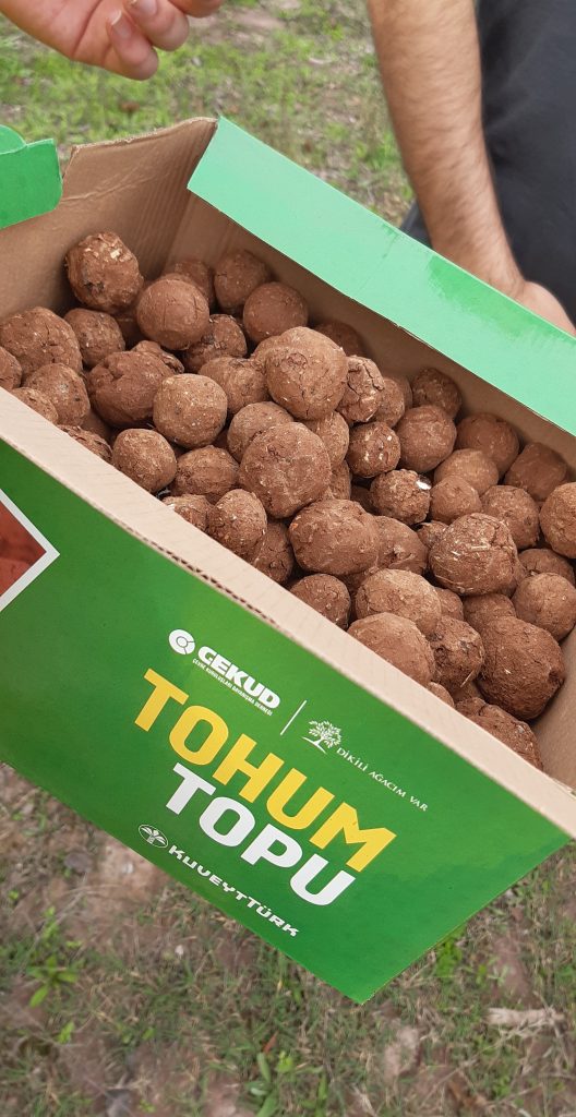 Fidan Dikim Etkinliği 6